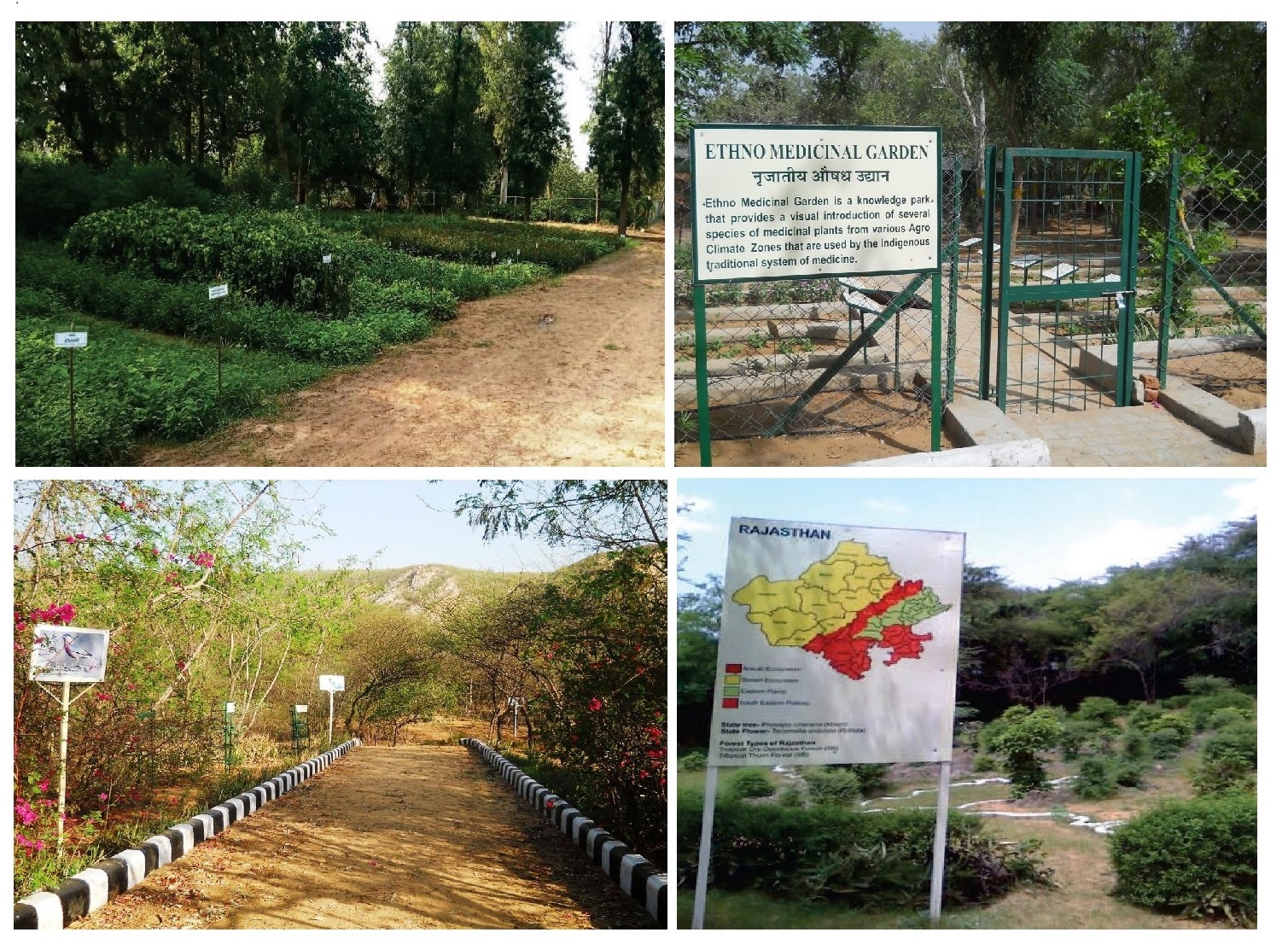 Silva Technical Publication